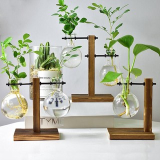 Table Desk Bulb Glass Hydroponic Vase Flower Plant Pot with Wooden Tray Office Decor