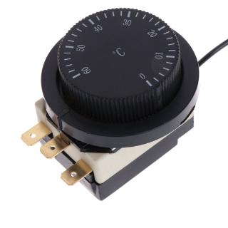 2J` 250V/380V 16A 0-60℃ Temperature Control Switch Capillary Thermostat Controlled
