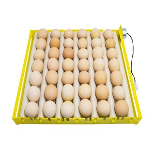 Automatic 360 Degree Rotary Egg Turner Roller Tray Duck Quail Bird Poultry Eggs Hatching Incubator