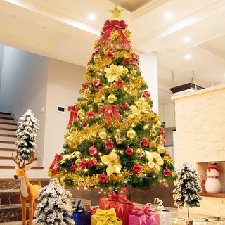 AKO Christmas Tree 1.5M/5FT TreePine Needle Tree With Accesories and Christmas Light (1)
