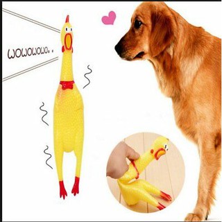Yellow Screaming Rubber Chicken Pet Dog Toy Squeak Squeaker (1)