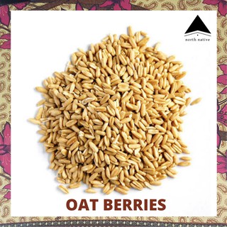 Oat Berries / Groats - 1kg, Organic, NON-GMO, Gluten Free and Whole for DIY Cereals and Oat Milk