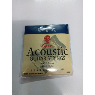 Acoustic Guitar Strings Set 100A Lyon by Washburn