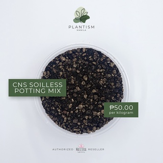 home and living✈▩Masitera Cactus & Succulent (CNS) Soil Less Potting Mix - Plantism M