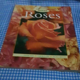 GARDENING: ROSES....... (1)