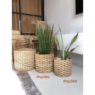 Native Rattan buri plant basket 10”x9”