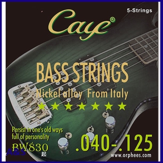 【ascend】CAYE BW Series 4/5/6 pcs Bass Strings (1)