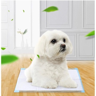 Dog Training Pads & Trays✎Wee Wee Training Pet Pee Pads For Dogs