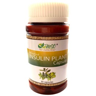 MSC Insulin Herbal Plant 30 Capsules (500mg)