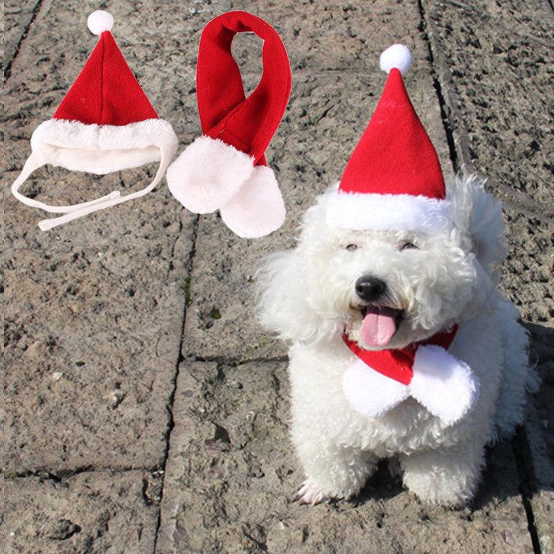 2PCS Pet Cat Dog Santa Hat + Scarf Christmas Red Costume (4)