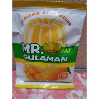 Mr. Gulaman Jelly Powder 25g (6)