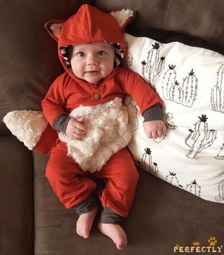 ✨QDA-Lovely Newborn Baby Boy Girl Kids Fox Bodysuit Romper Jumpsuit Clothes Outfit Costume