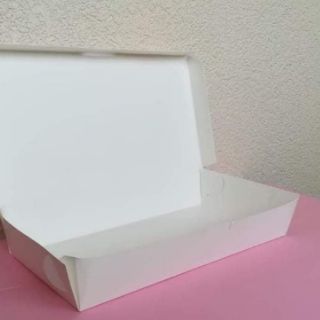 Meal boxes 100pcs (High Quality Materials) (4)