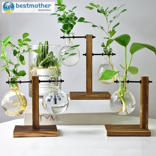 ✿BM✦ Vintage Glass Bottle Vase Hydroponic Plant Flower Pots Transparent Vase Tabletop Terrarium Test Tube Bulb Vase in Wooden Stand (1)