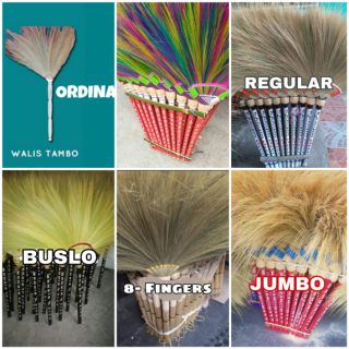 Baguio Walis Tambo (Soft Broom)