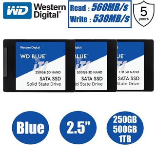 ´･ω･WD Blue PC 3D NAND SSD 2.5" 7MM SATA (250GB/500GB/1TB) (1)