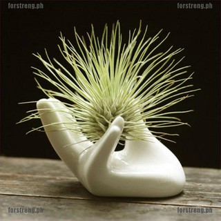 <FG+COD>Porcelain Ceramic Air Plant Tillandsia Holder Flower Planter