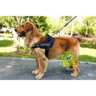 Dog vest harness ( not included the leash) pet dog cat harness vest