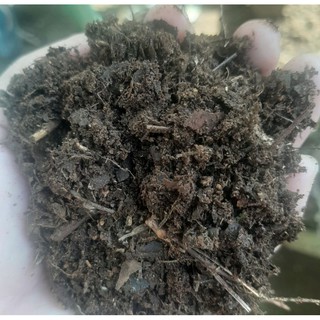 COMPOST SOIL/ ALNOS PURE
