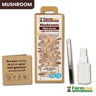 Mushroom Grow Kit • Edible Mushroom • Oyster Mushroom • Grow Bag • FarmJoe (2)