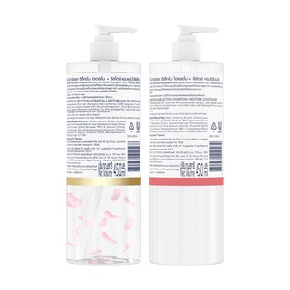 [BUNDLE] DOVE Botanical for Damaged Hair Restore Shampoo and Conditioner 450ml Set (3)