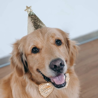 Pet Dog Cat Birthday Party Hat Bow Tie Christmas Dress Up Birthday Hat Pet Holiday Dress Up YIYUE (6)