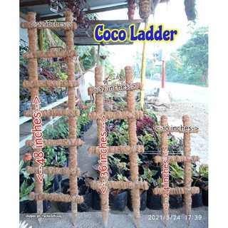 coco ladder for plants/Coco ladder/Coco pole