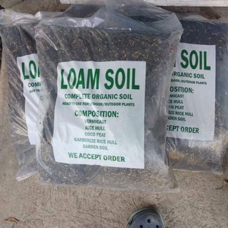 Loam soil potting mix