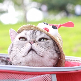 Pet HatsPet Hat Cat Headdress Summer Dog Small Dog Straw Hat Bamboo Dragonfly Cute Teddy Sun-Proof D