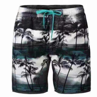 Summer beach pants men's quick-drying, loose casual shorts,REAL MAN #B5527