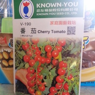 Cherry Tomato small fruit
