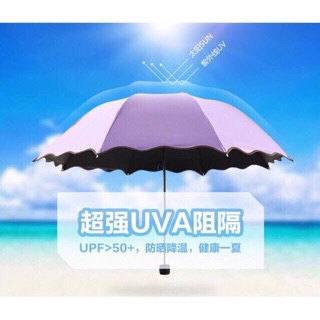 KM Magic UV Folding Sun/Rain Windproof Flowering Umbrella (9)
