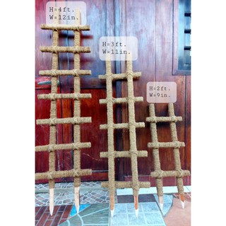 Coco Ladder 2FT/ Trellis/ Coco Pole (Mahogany Wood and Coco Fiber)