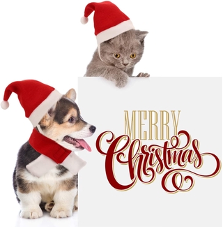 2 Pieces Christmas Pet Dog Santa Hat Pet Santa Scarf for Pet Dogs Cats Dressing Up Supplies Cute Santa Hat & Scarf Xmas Red Costume Suit