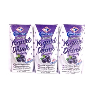 Cultured Milk◐Cowhead Blueberry Creamy Yogurt Drink 200mL ( Pack of 6) [Cowhead - Fresh Milk - UHT -