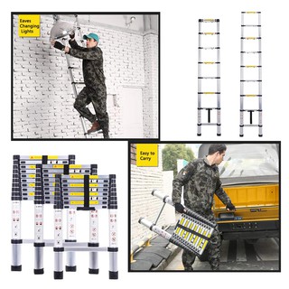 Easy-to-Carry Telescopic Ladder