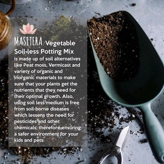 Masitera Vegetable Soil-less Potting Mix
