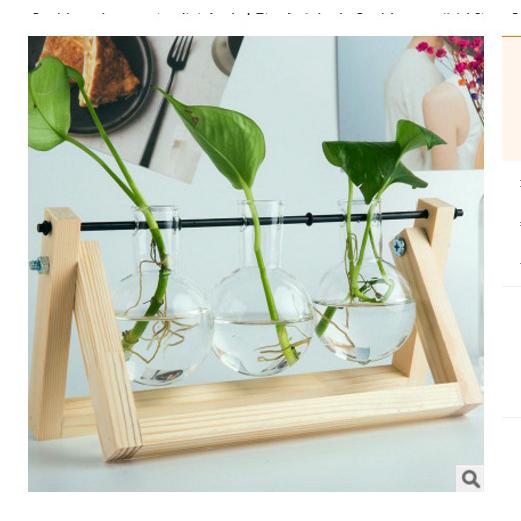 (readystock) creative green plant culture vase