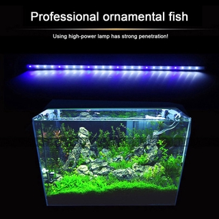 【IN STOCK】20cm Waterproof Aquarium Fish Tank LED Light Amphibious Use Submersible Clip Lamp US 220V