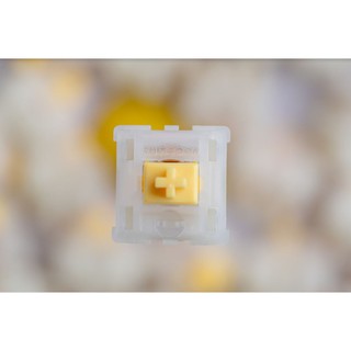 Gateron Milky Yellow Linear Switches PCB Mounted Mechanical Keyboard Hot Swappable Zion Studios PH