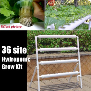 C 36 basket plant farm hydroponic growth kit system with timer