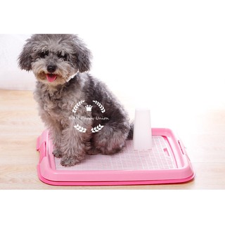 [Pet Shop]Dog Training Potty Pad(Stand Included)