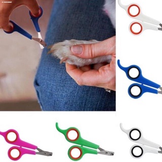 New products﹉▥Pet Nail cutter Small