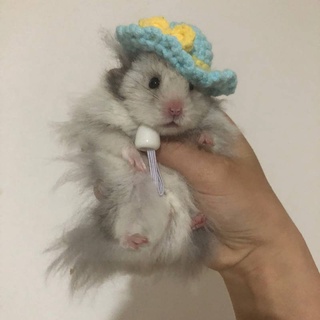 Djungarian Hamster Hamster Hat Crochet Wool Small Hat Customized Pet Small Hat Small Bag Small Clothes pet hat hamster hat (3)