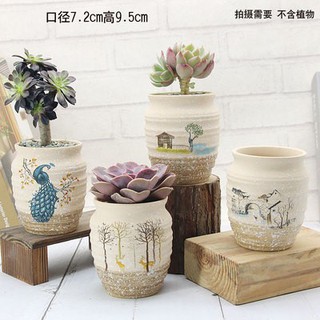 ✨promotion✨Succulent Cactus Plant garden ceramic pots Colorful fruit Mini Resin Flower Pot office