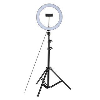 WM Professional 26cm Dimmable Ring Light Kit With Adjustable Tripod Stand And Phone Holder RK-20