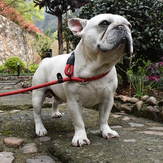 4 Colors Pet Dog Leash Harness Dog Collar Walking Training Leash Dog Harness Collar Leash Strap Belt