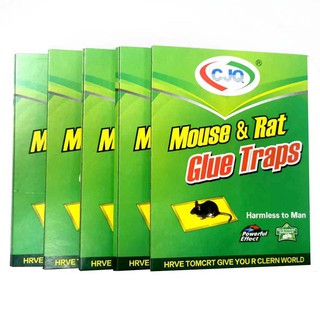 Super Sticky Mouse Trap Mouse trap/Rodent expert/Rat Glue snare sticker mice board (1)