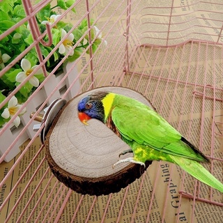 Round Wooden Coin Parrot Bird Cage Perches Stand Platform Pet Budgie Hanging Toy