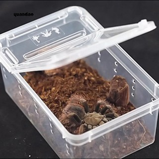 Yuan_Transparent Plastic Amphibian Insect Reptile Breeding Box Transport Feeding Case